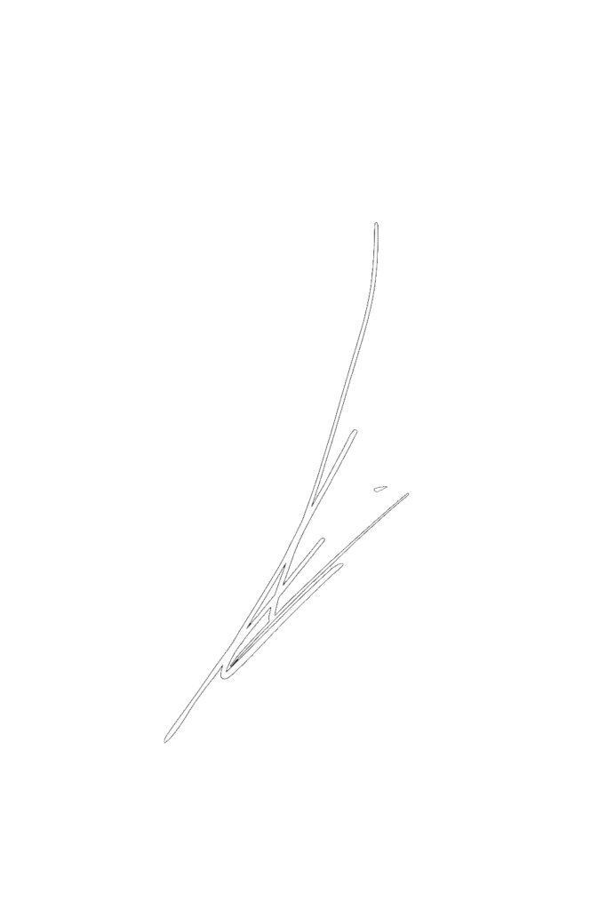 chatgpt image 19 oct 2025, 07 44 33 (1) chatgpt image 19 oct 2025, 07 44 33 (1)